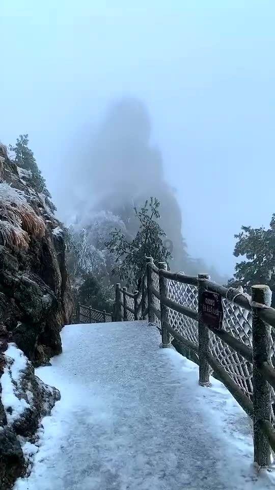 逃离整洁的庭院