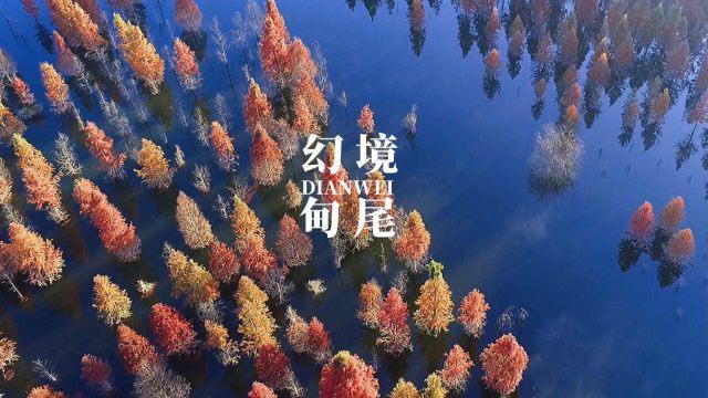 巴林主帅:日本队也有弱点,与韩澳交手经历让我们面对谁都能安定