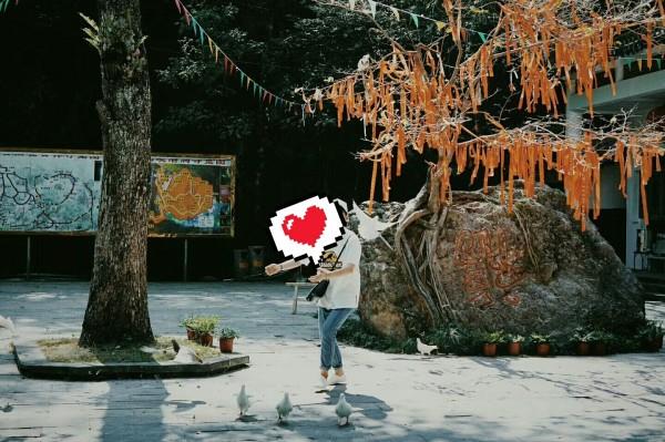 电动车车灯不够亮，晚上看不清路怎么办呀？游戏画面