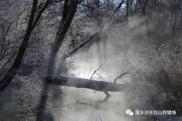 2024年中国华南地区高职院校排名，深圳信息职业技术学院第一