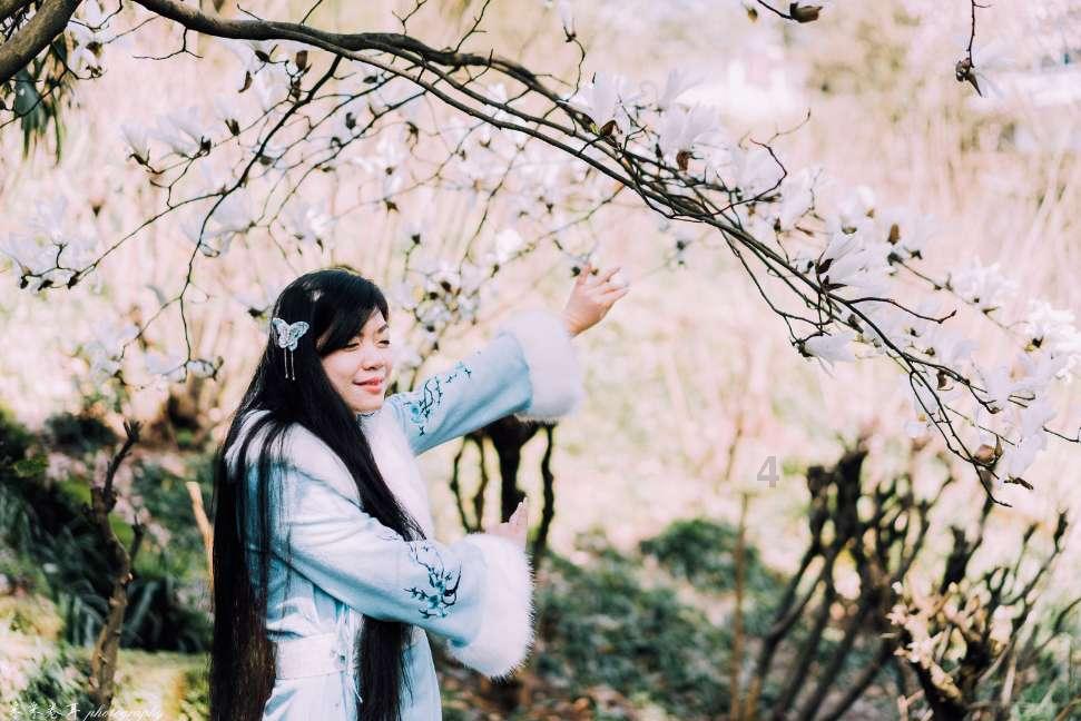 拯救精灵的土地6