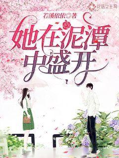 盗贼之海