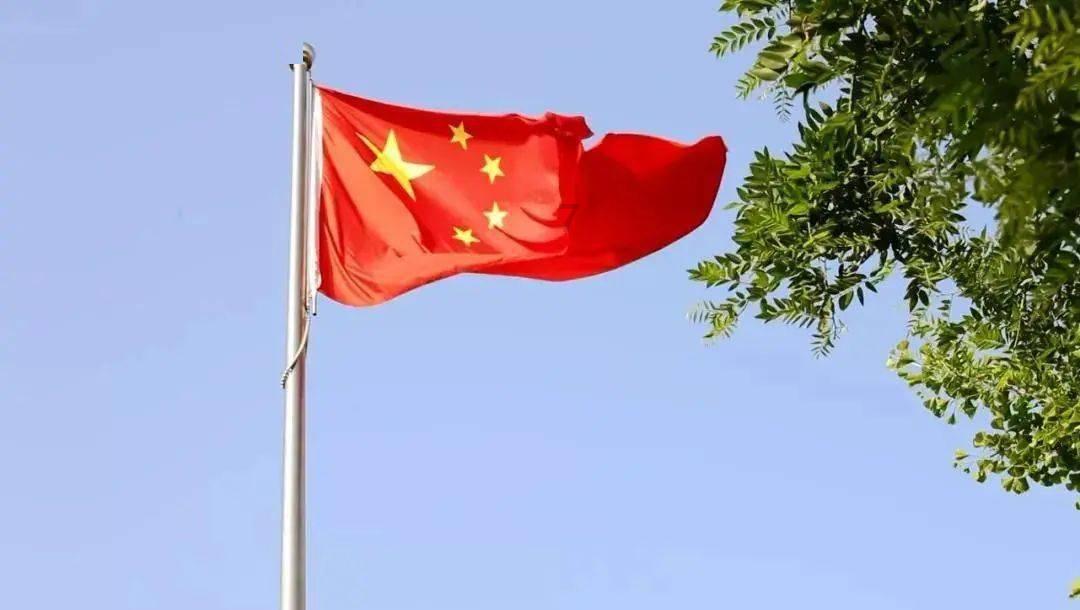 猫吃鱼油:是智商税还是科学喂养?