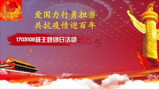 蚂蚁是昆虫吗