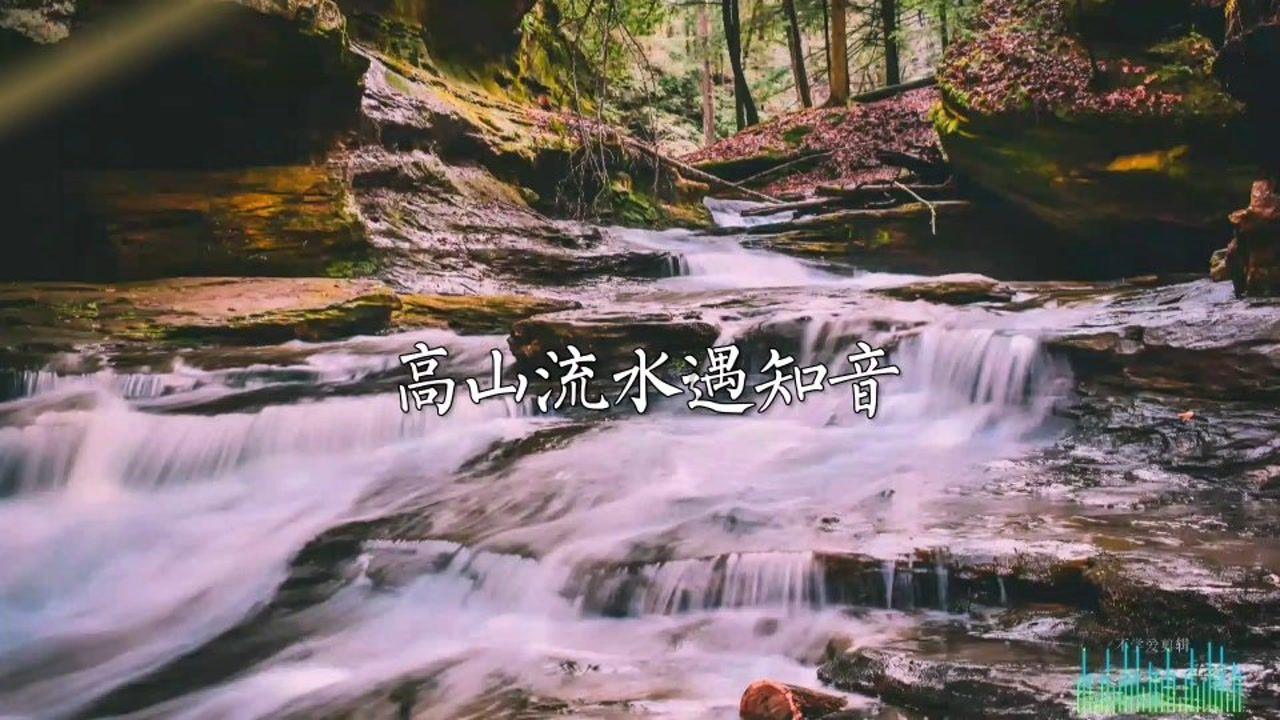 精灵的故事