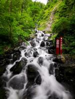 小长颈鹿逃离