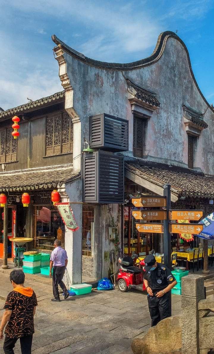 金枝玉叶花怎么养才能养好游戏画面