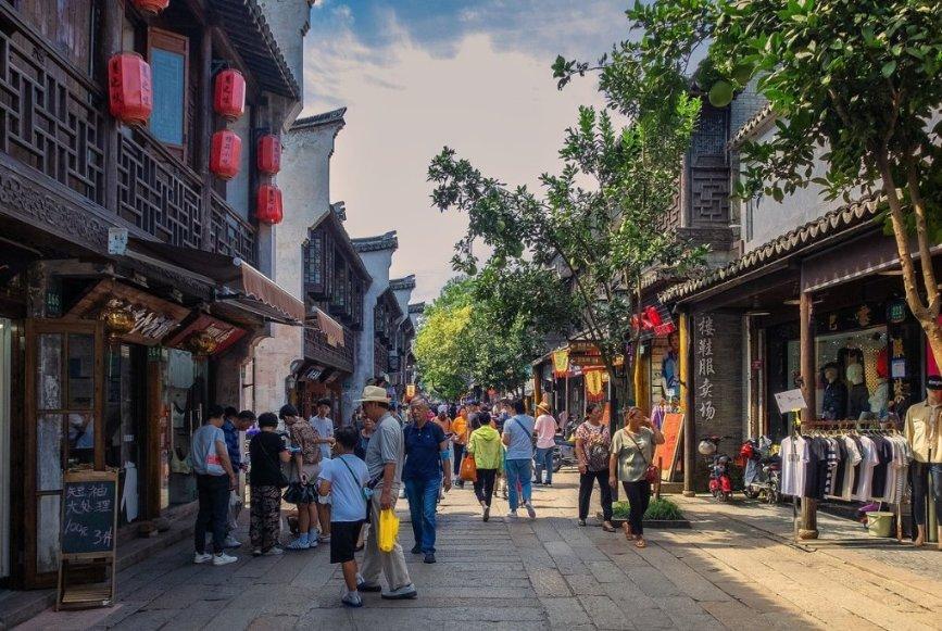 学习插花艺术