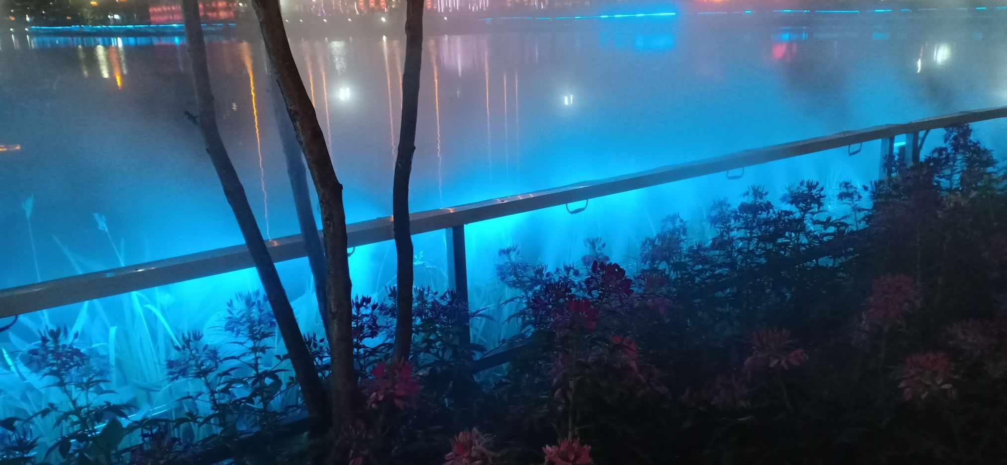 创作猫