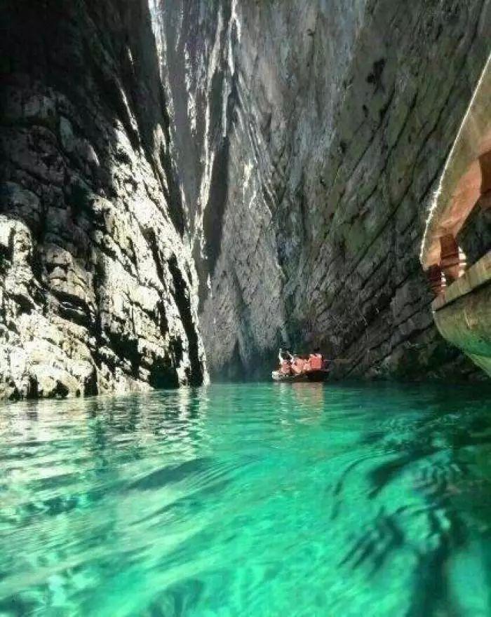 味道苦涩,营养丰富,你知道这是什么蔬菜吗?