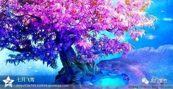 脑洞小老弟无实名认证